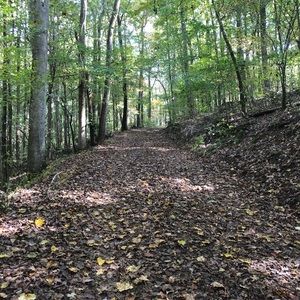 Meet your Posher, Jennie